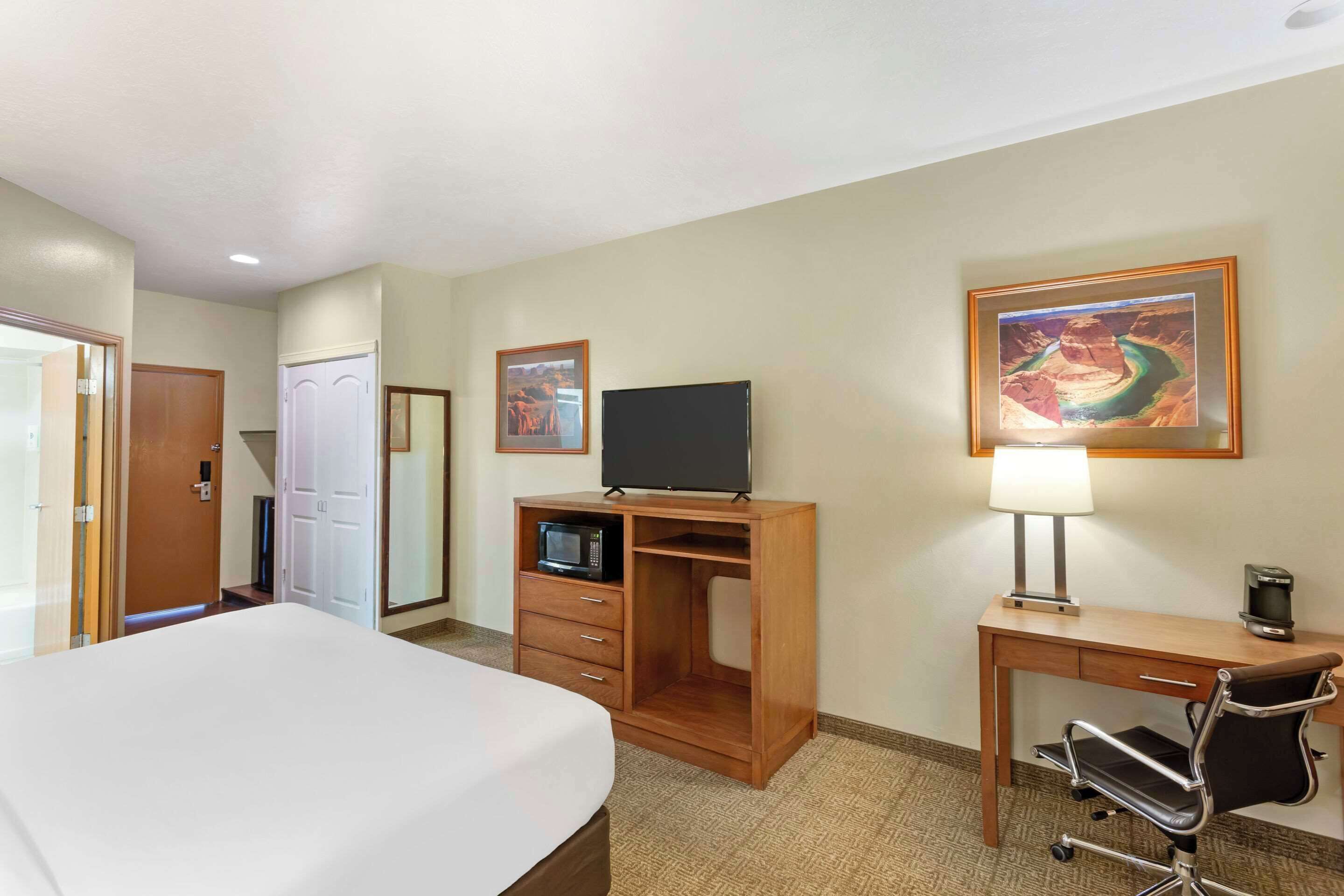 A hotel room with a bed, a desk with a chair, a television, a microwave, and a framed picture on the wall.