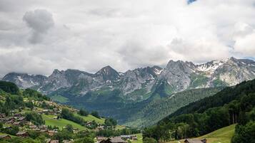 Habitación Deluxe, 1 cama King size, para no fumadores, vista a la montaña | Vista desde la habitación