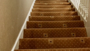 A carpeted staircase with a white railing and beige walls. - The Park Hotel (London)