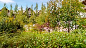 Un jardín exuberante con diversas plantas y árboles, rodeado de edificios con fachadas de madera.
