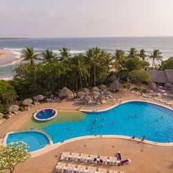 Relax by the oceanfront pool surrounded by palm trees and lounge chairs.