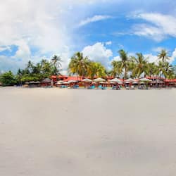 Enjoy beachside accommodations and dining at this tropical resort, surrounded by palm trees.