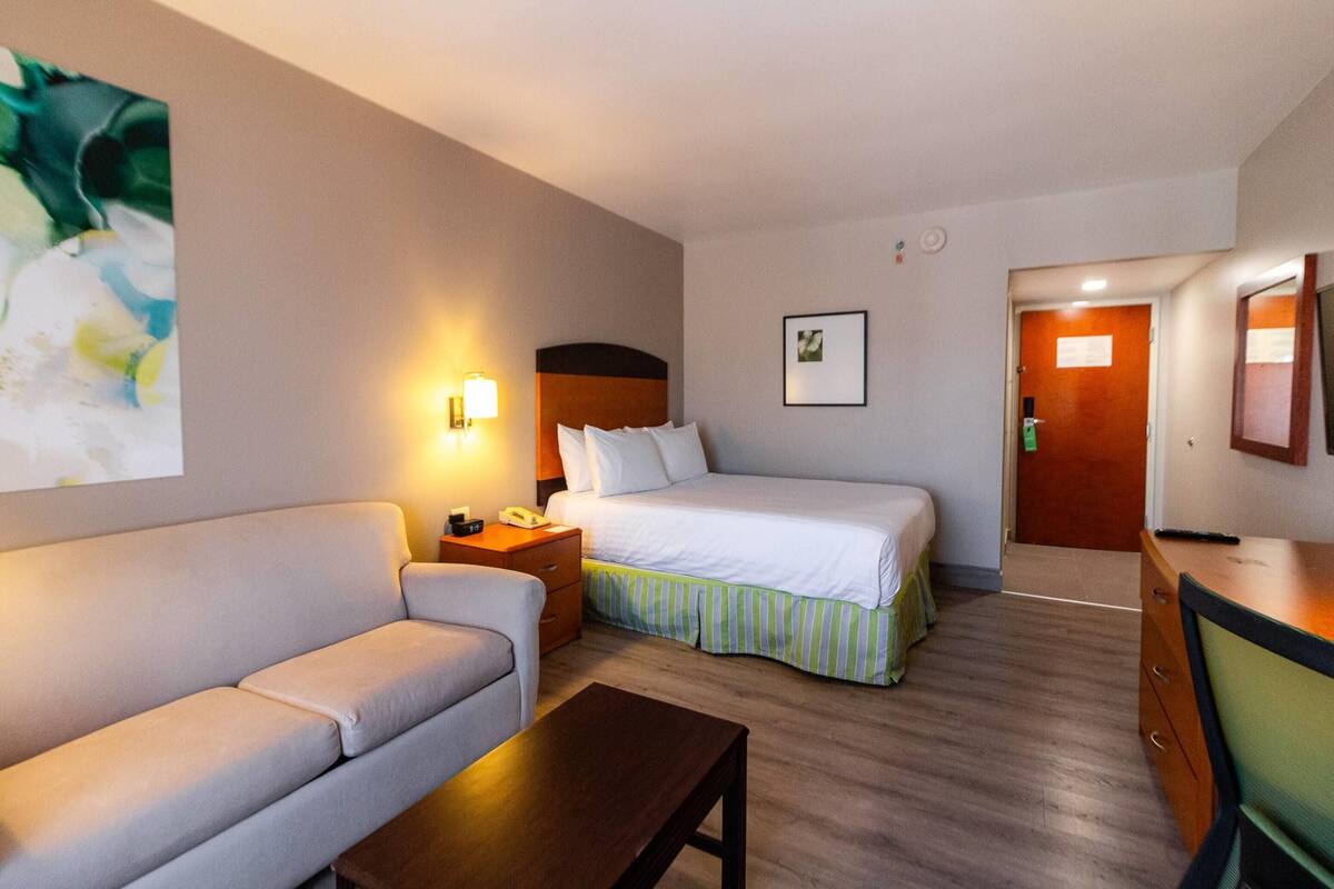 Habitación de hotel con cama, sofá, escritorio, mesita de noche, lámpara y un cuadro en la pared.