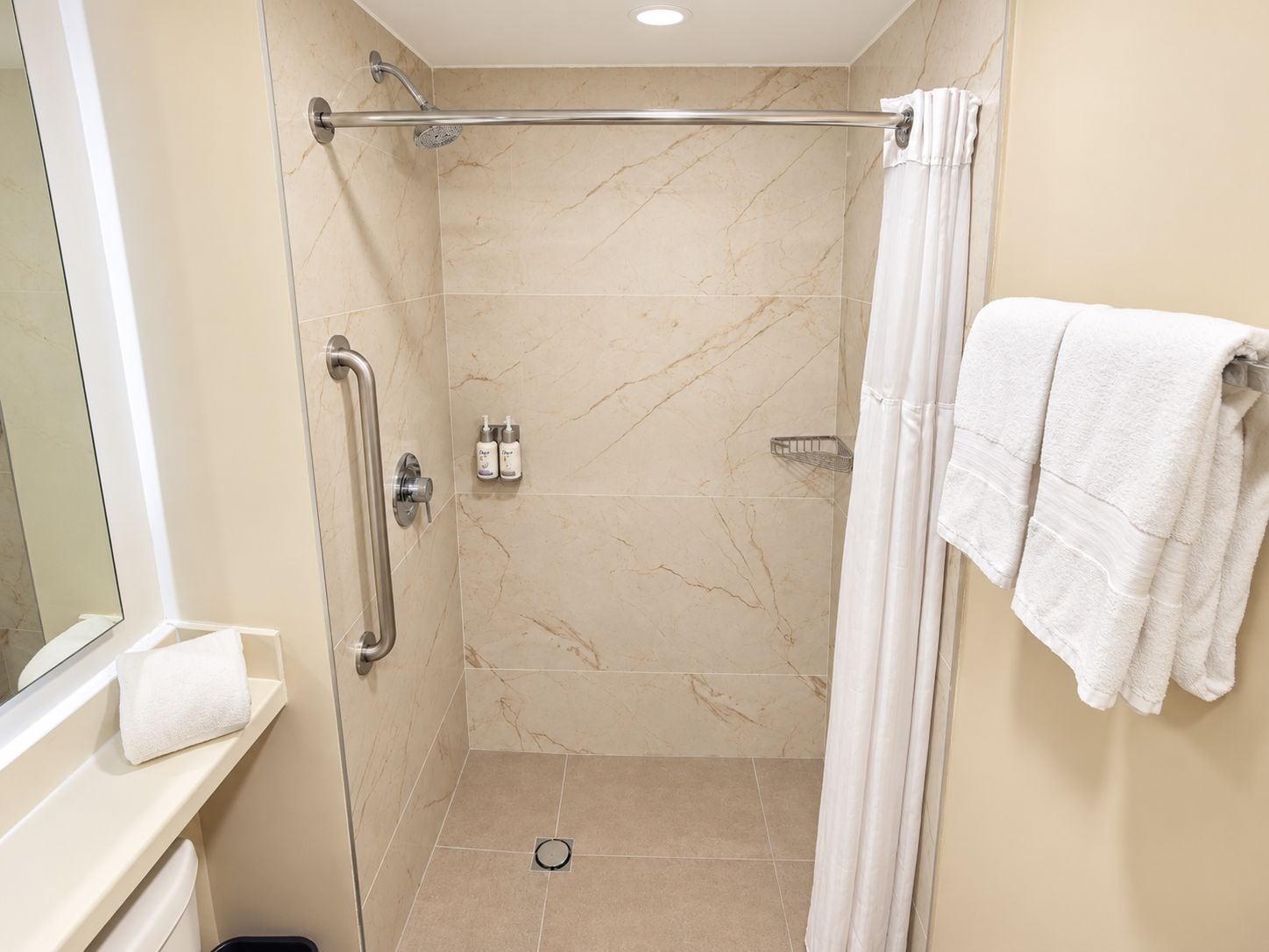 A shower area with a grab bar, a towel rack, and a showerhead.