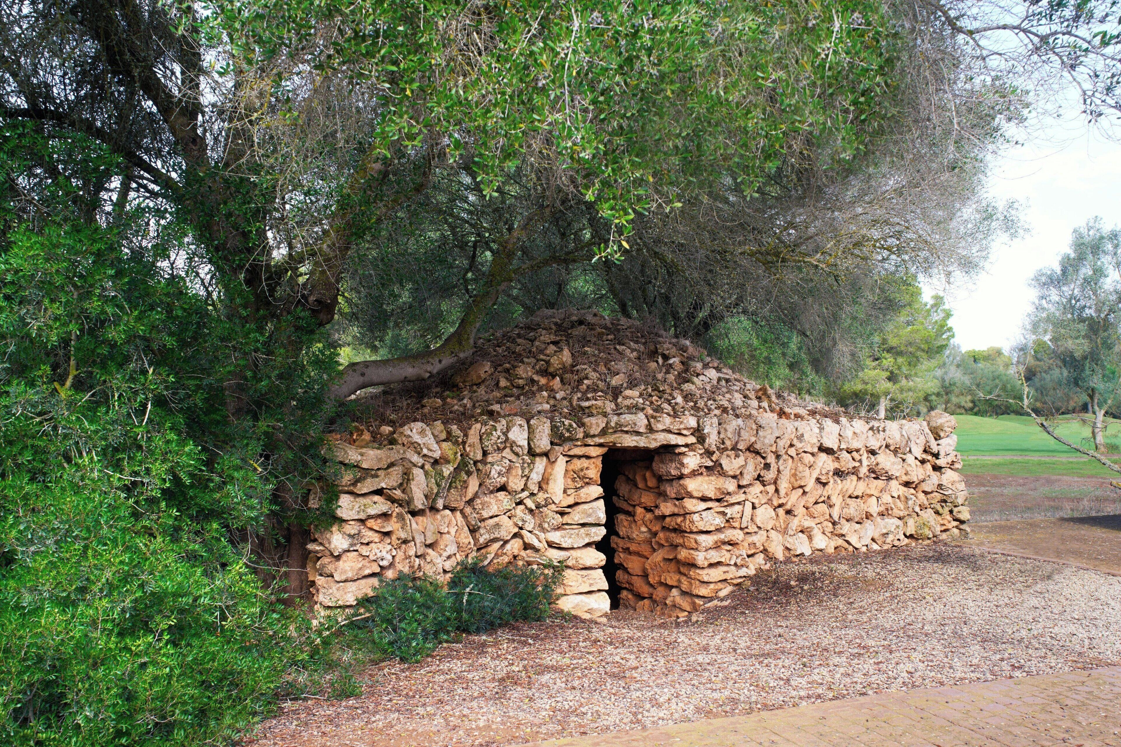 Accommodatievoorziening