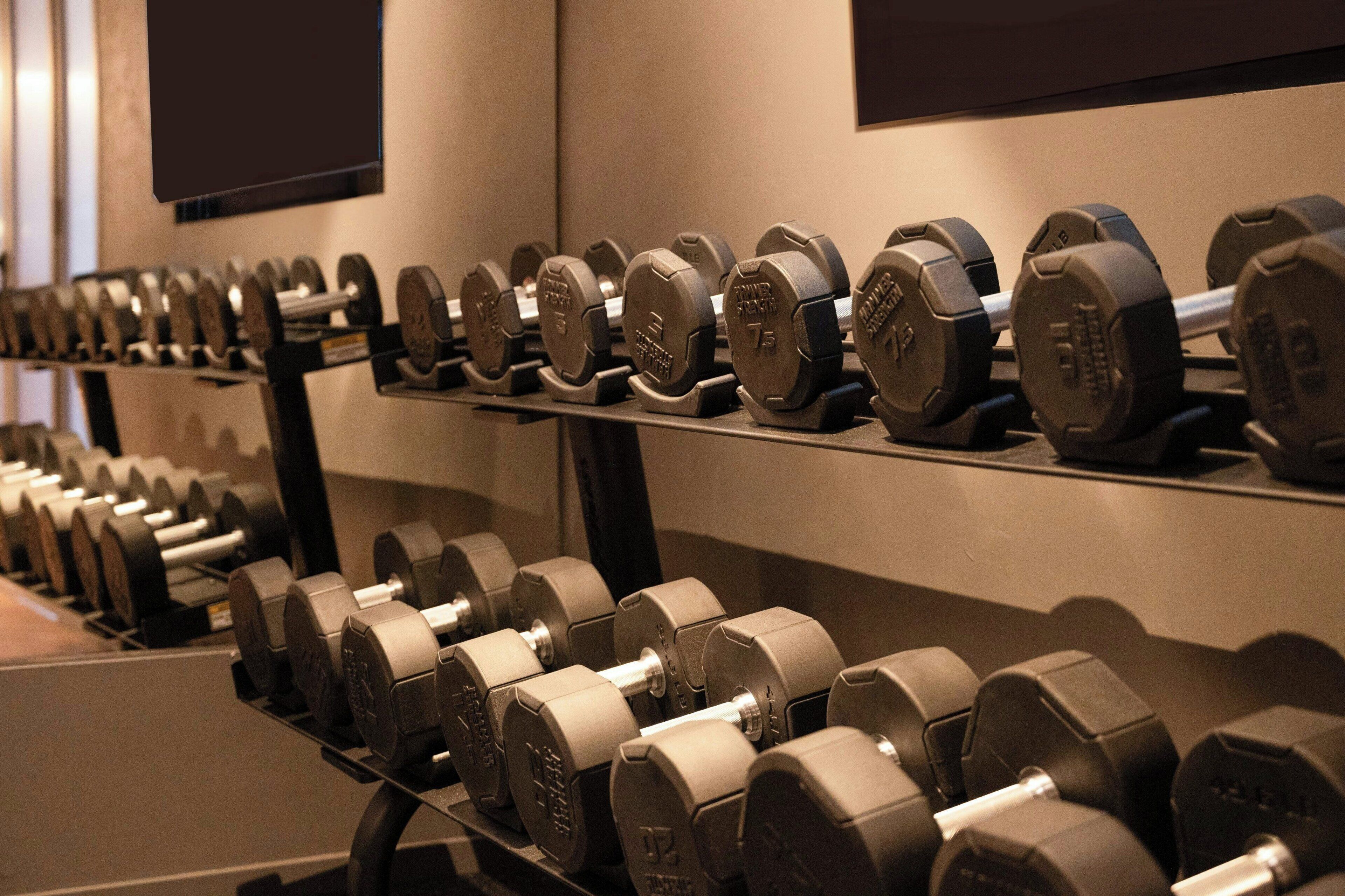 Un estante con mancuernas en un gimnasio.