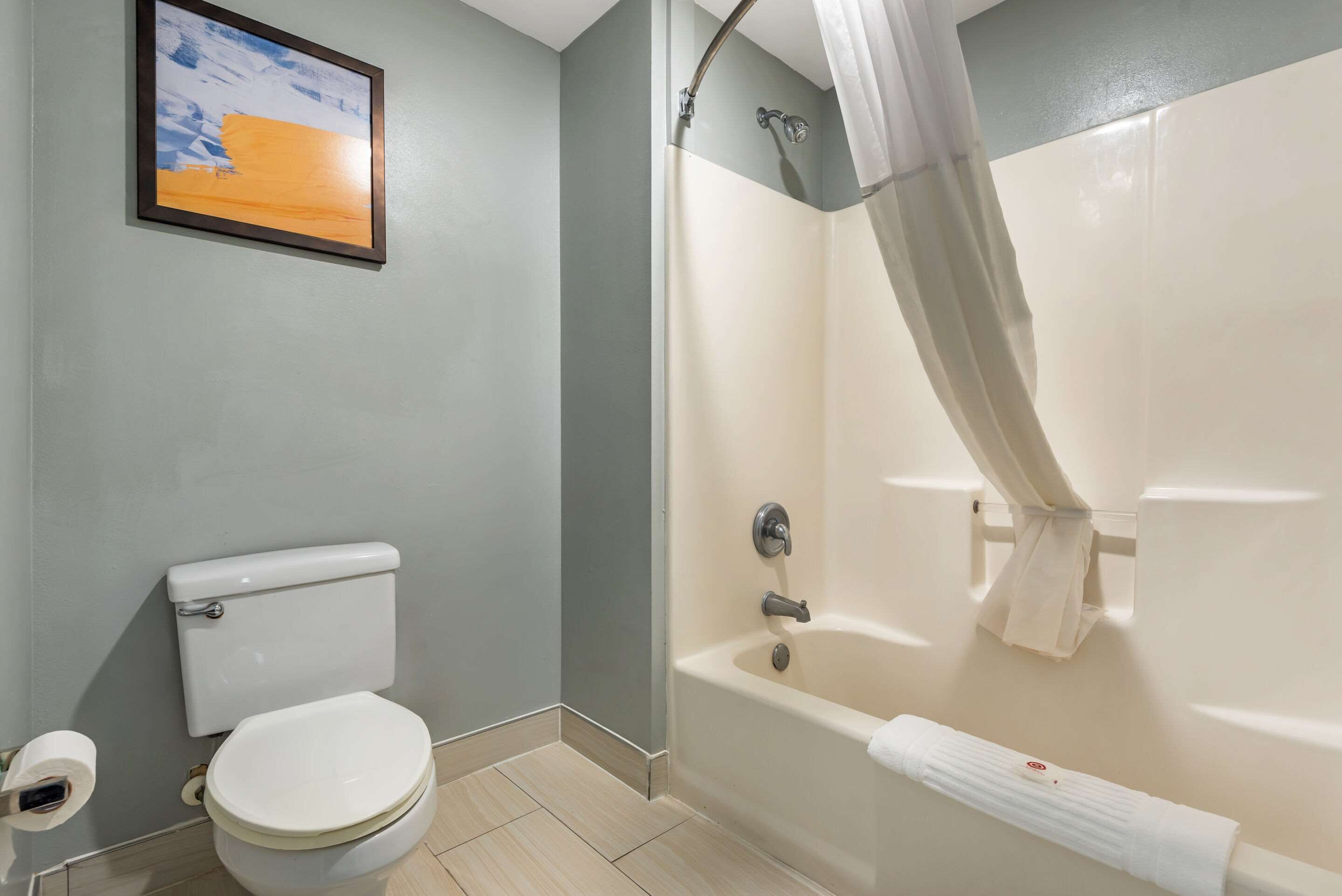 A bathroom with a toilet, a bathtub, and a shower curtain.