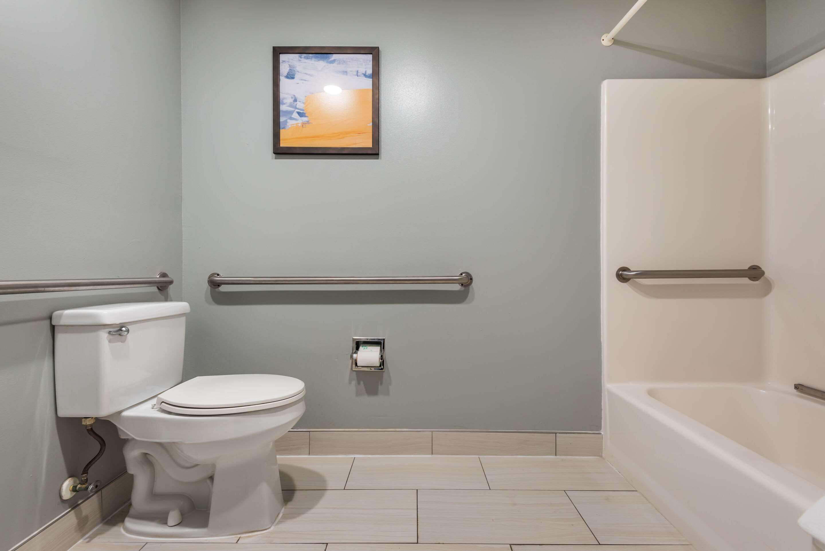 A bathroom with a toilet, a handrail, a framed picture on the wall, and a bathtub.