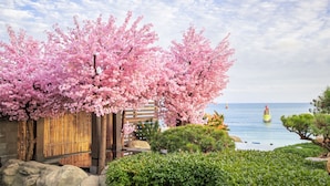 Un edificio de estilo japonés tradicional con fachada de madera, rodeado de abundante follaje y cerezos en flor.