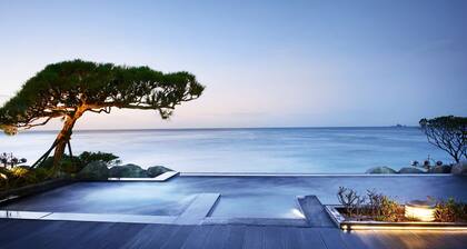 Paradise Hotel Busan