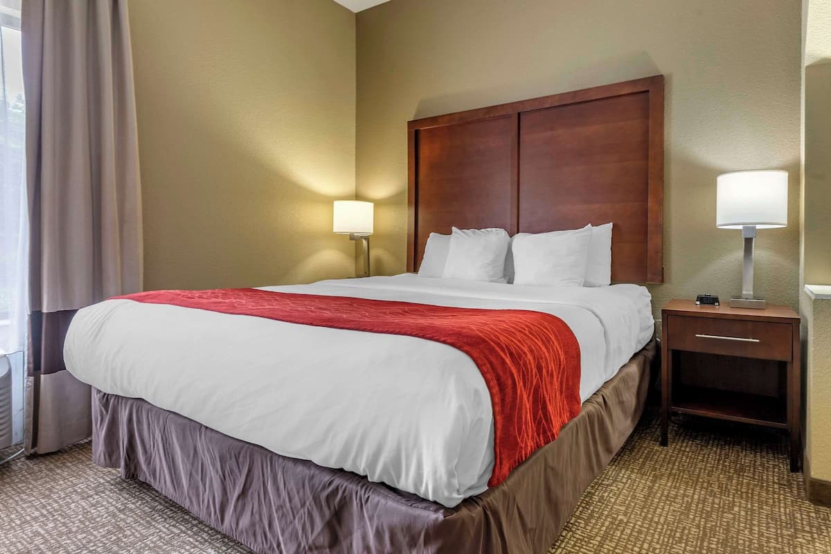 Suite, 1 King Bed with Sofa bed, Non Smoking (2 Person Sofa Bed)