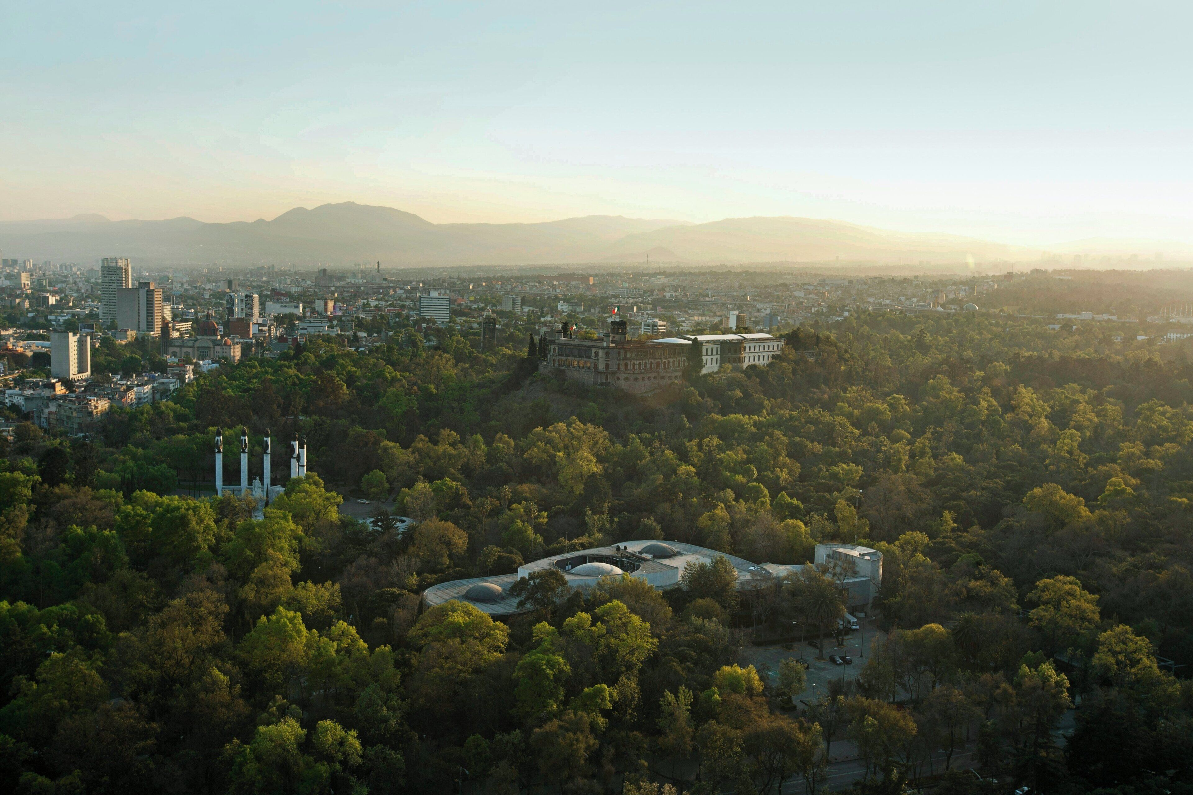 An aerial view of a city with a prominent historical building surrounded by dense greenery.