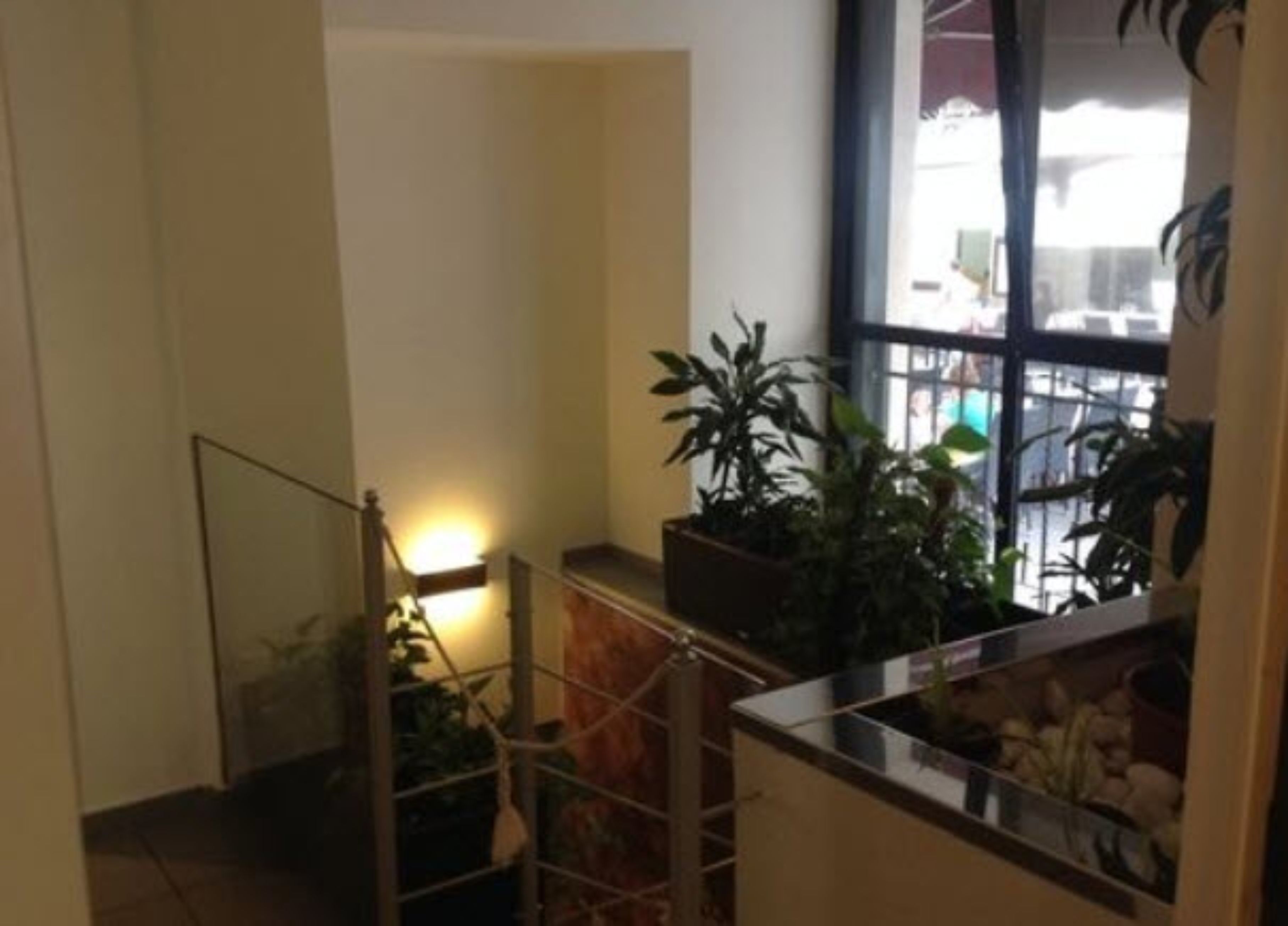 Foto - Hotel California