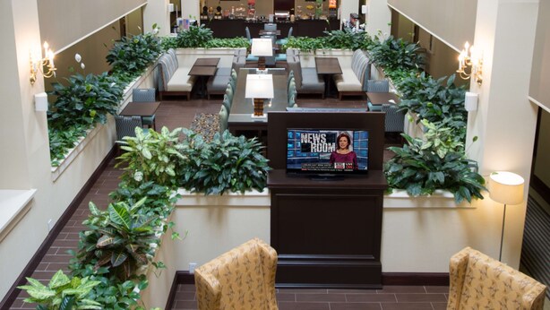 A spacious lobby with multiple seating areas, a central TV displaying a news program, and lush green plants. - Hampton Inn Cornelia (Cornelia)