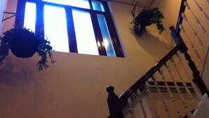 A staircase with a wooden handrail and white balusters, leading to a landing with a large window and hanging plants. - Delta Hotel City Center (Amsterdam)