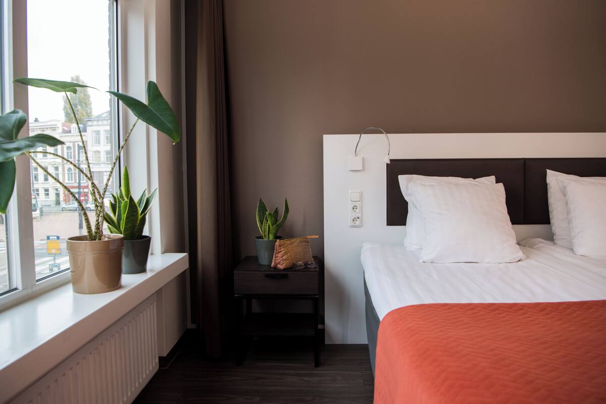 A hotel room with a bed, a window with potted plants, a bedside table with a lamp, and a view of the street outside.