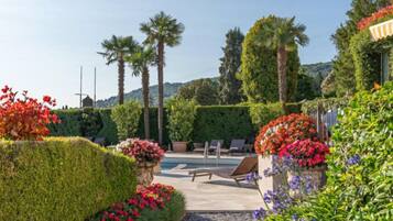 Jardín ajardinado con piscina, palmeras y un sendero que lleva a sillas de descanso.