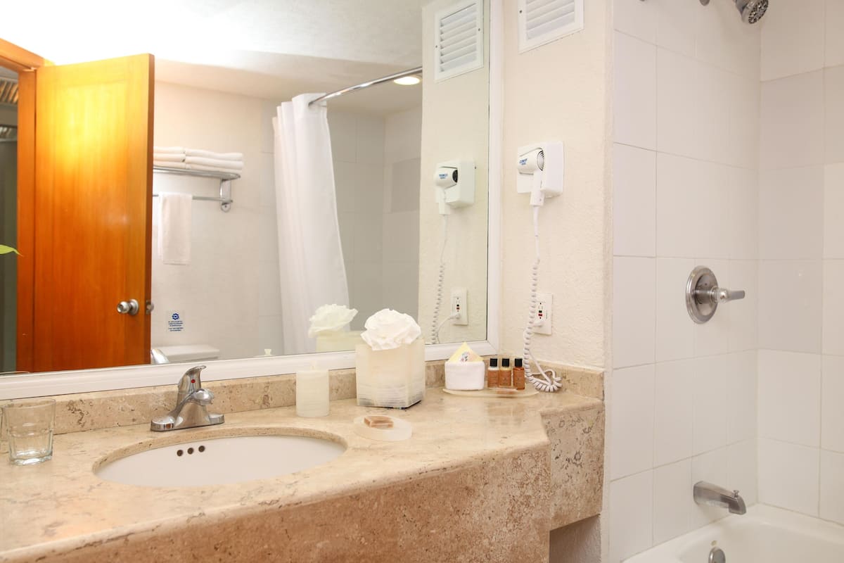 habitacion deluxe vistas a la ciudad o terraza | bathroom | combined shower/bathtub, free toiletries, hair dryer, bidet