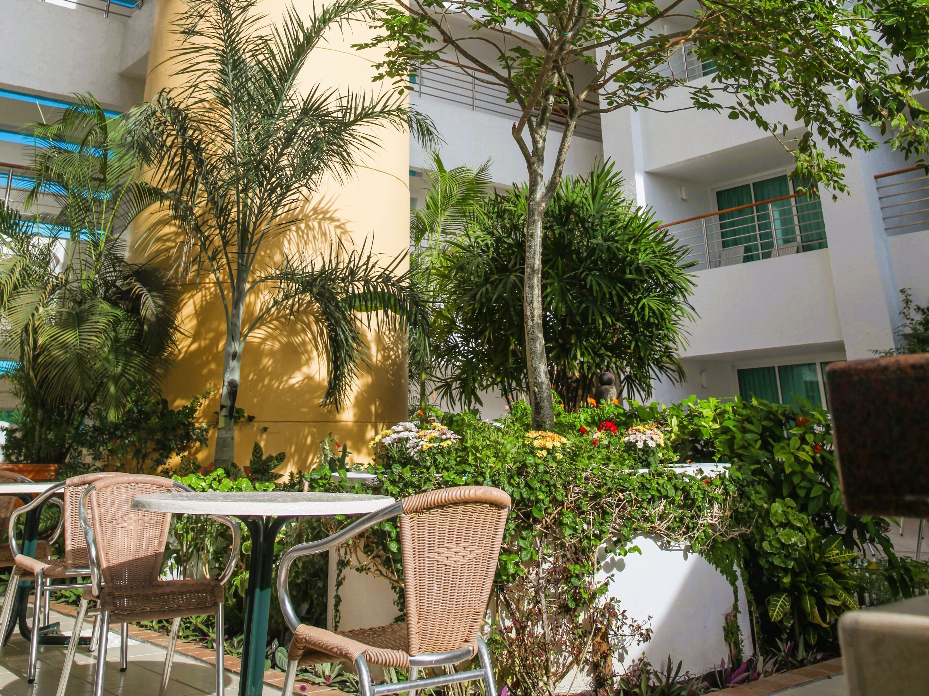 free daily english breakfast