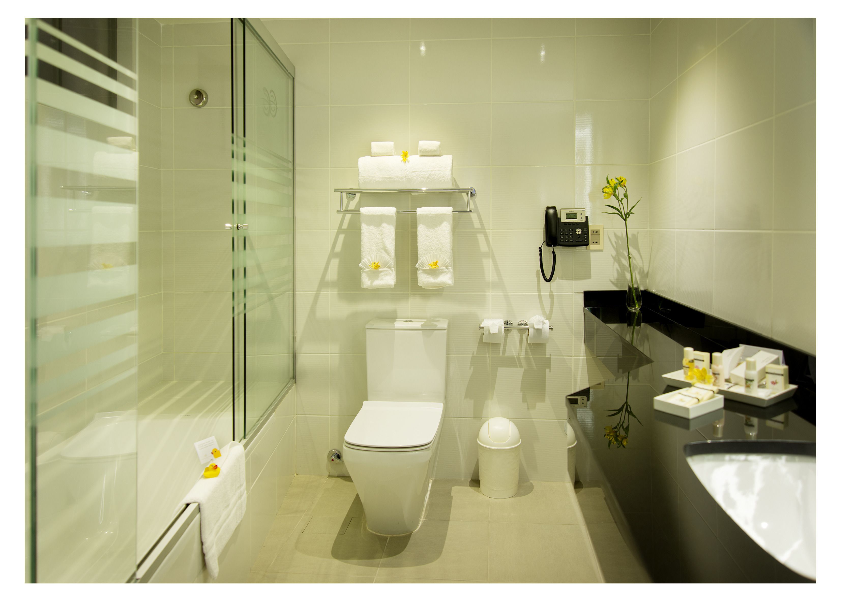 designer toiletries, hair dryer, bathrobes, towels