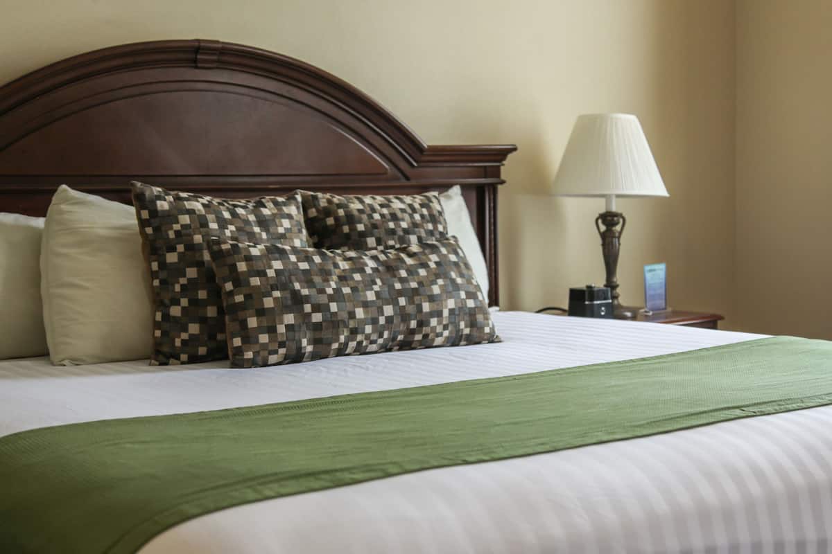 Standard Room, 1 Queen Bed | Premium bedding, in-room safe, desk, laptop workspace