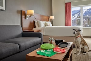 Habitación de hotel con un sofá gris, una mesa de madera con cuencos para mascotas y un tapete verde, un perro y una cama con vistas a las montañas.