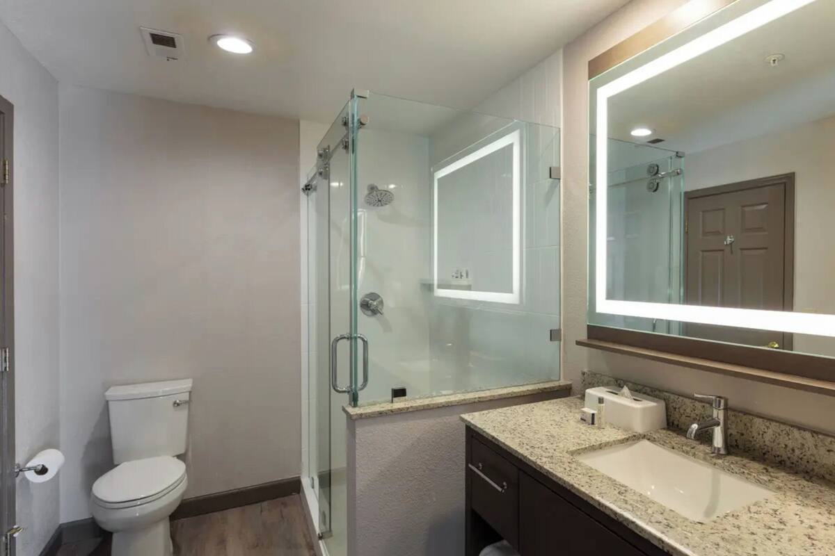 A modern bathroom with a glass-enclosed shower, a large mirror, a toilet, and a granite countertop sink.