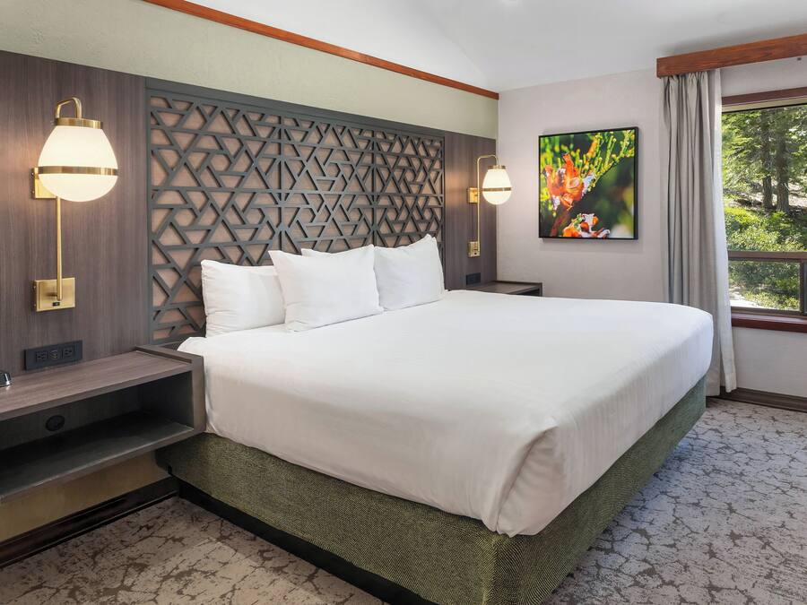 Quarto de hotel com uma cama grande, televisão, janela com cortinas e um painel decorativo na parede.
