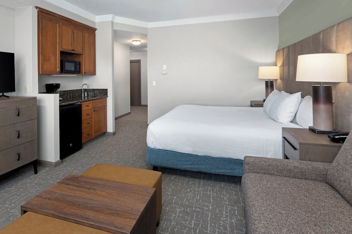 Quarto de hotel com cama, televisão, cozinha compacta, secretária e sofá.