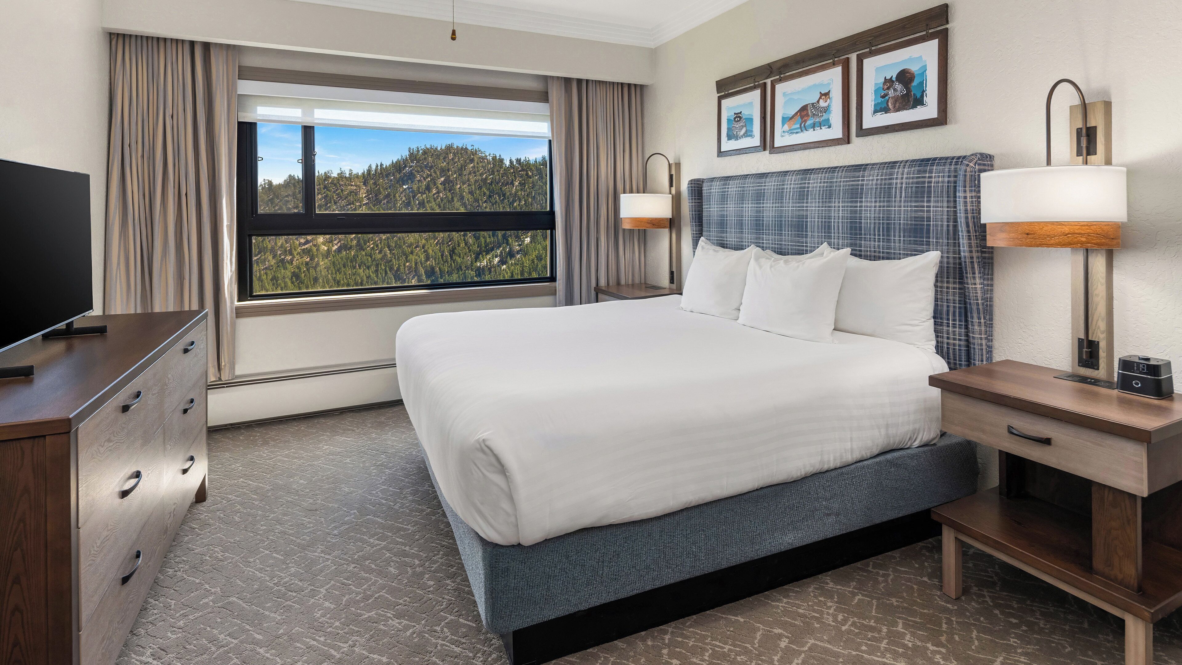 A hotel room with a large bed, a TV, a dresser, a bedside table, and a window with a view of a forest.