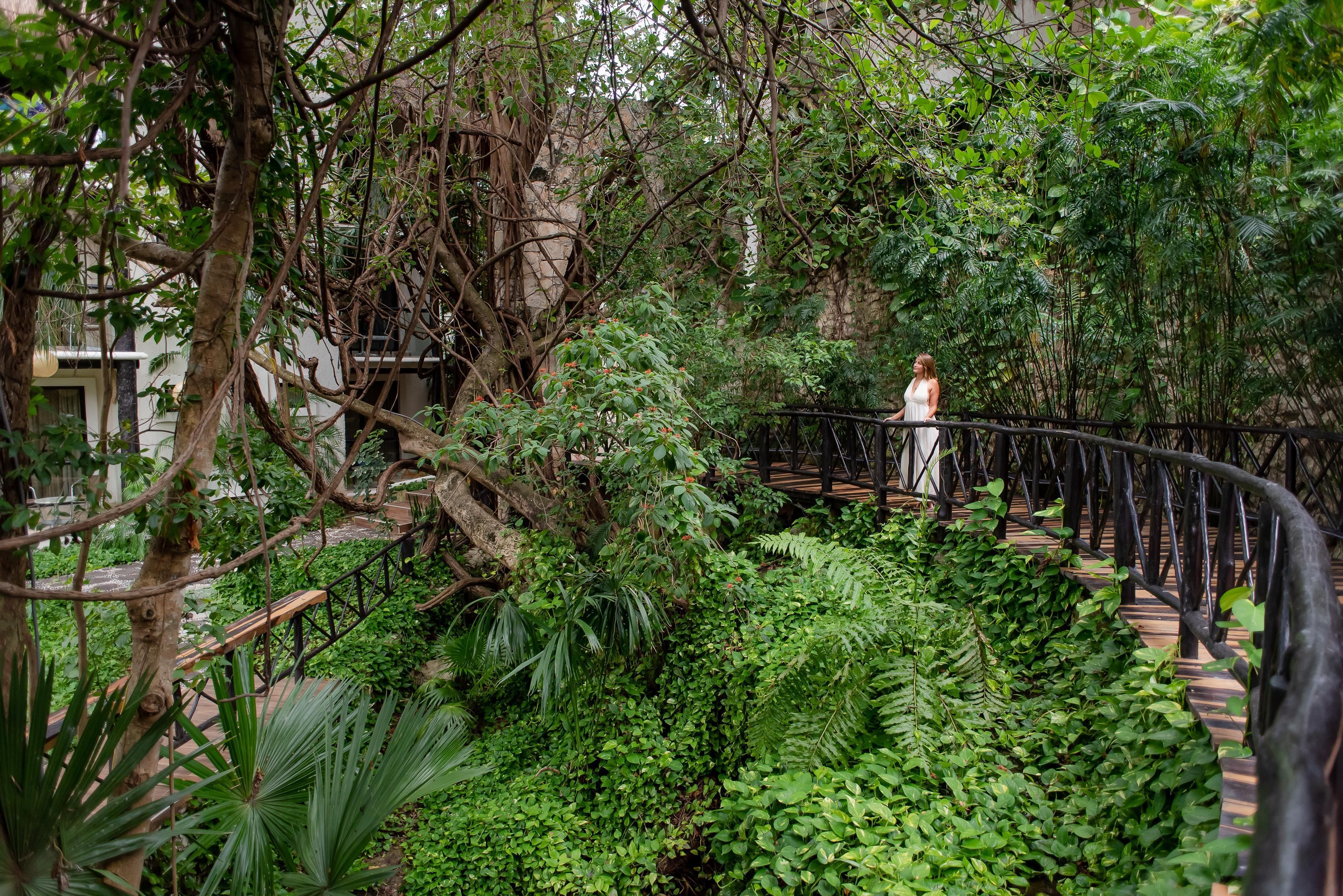 A woman standing on a wooden bridge surrounded by dense greenery and trees.