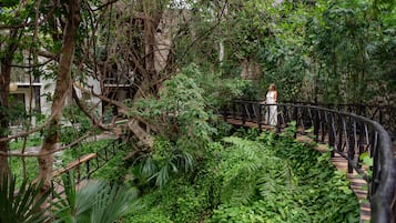 A woman standing on a wooden bridge surrounded by dense greenery and trees.
