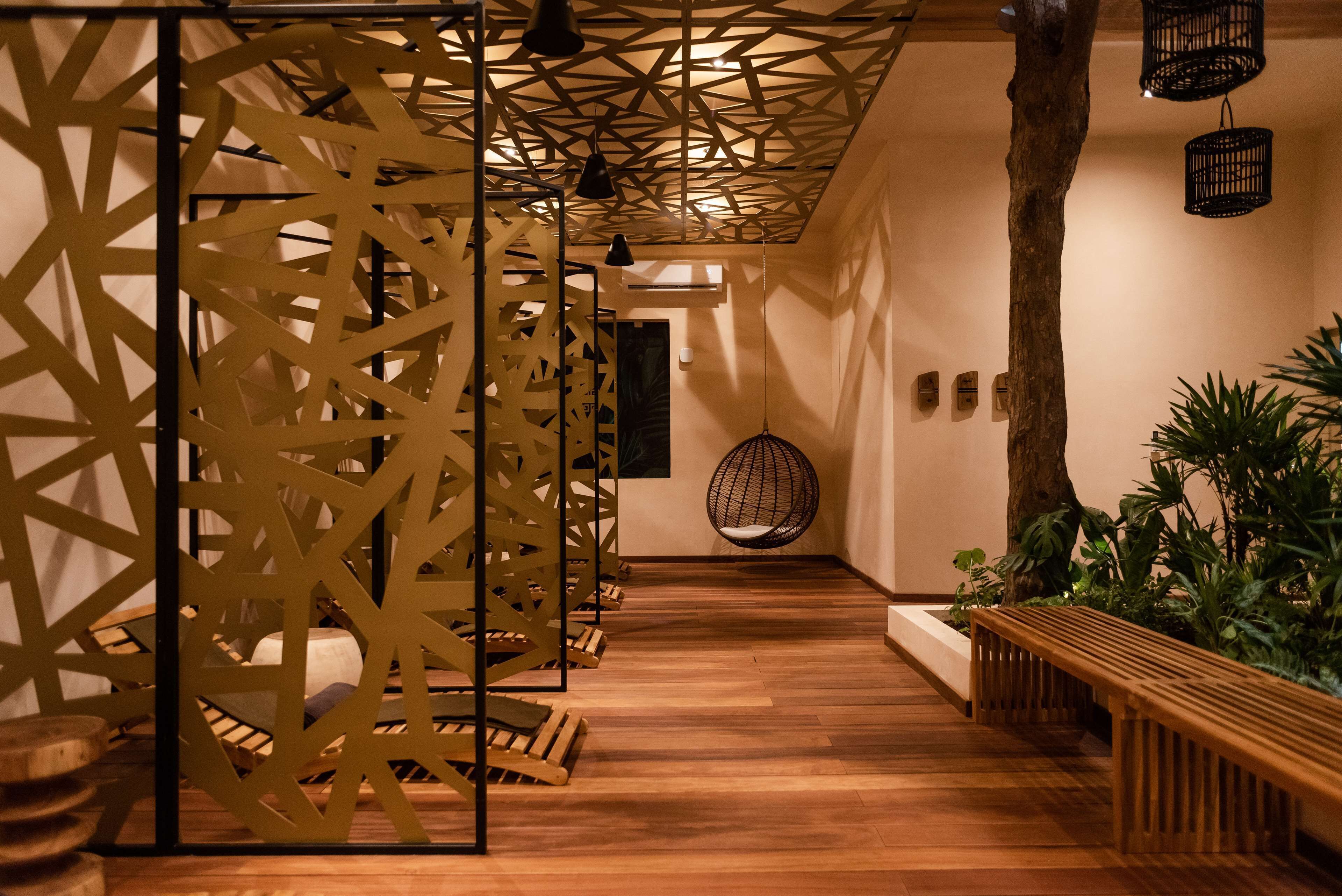 A hallway with wooden flooring, a hanging chair, a wooden bench, and a tree trunk.