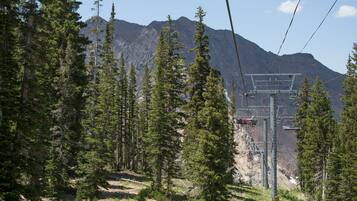 A mountain landscape with a ski lift and surrounding forest.
