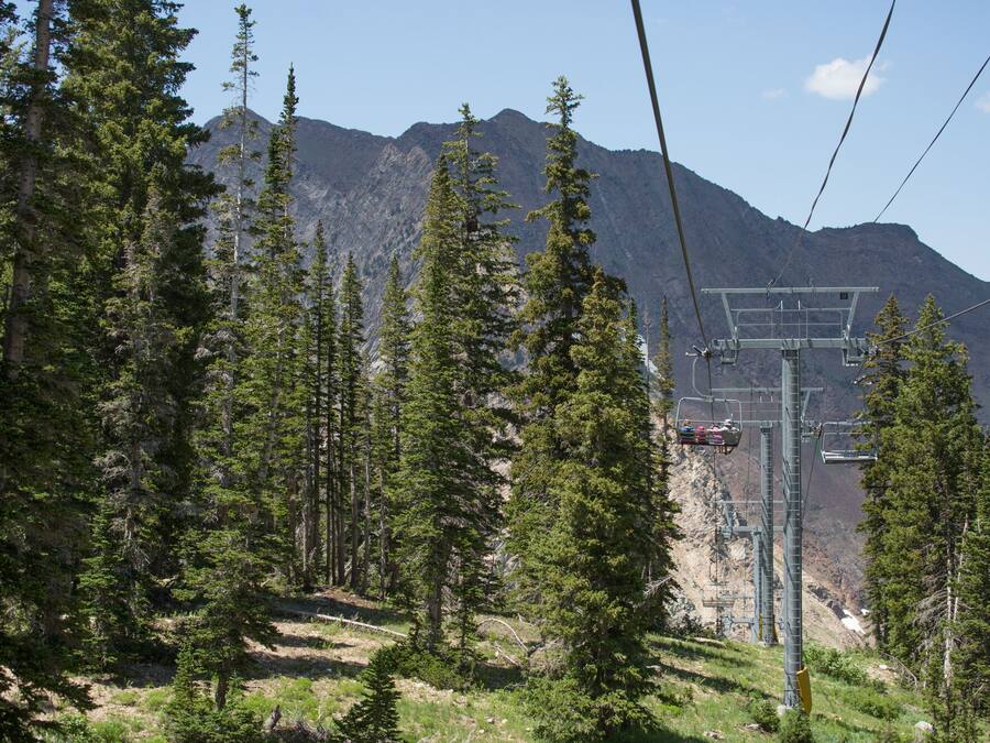 A mountain landscape with a ski lift and surrounding forest.