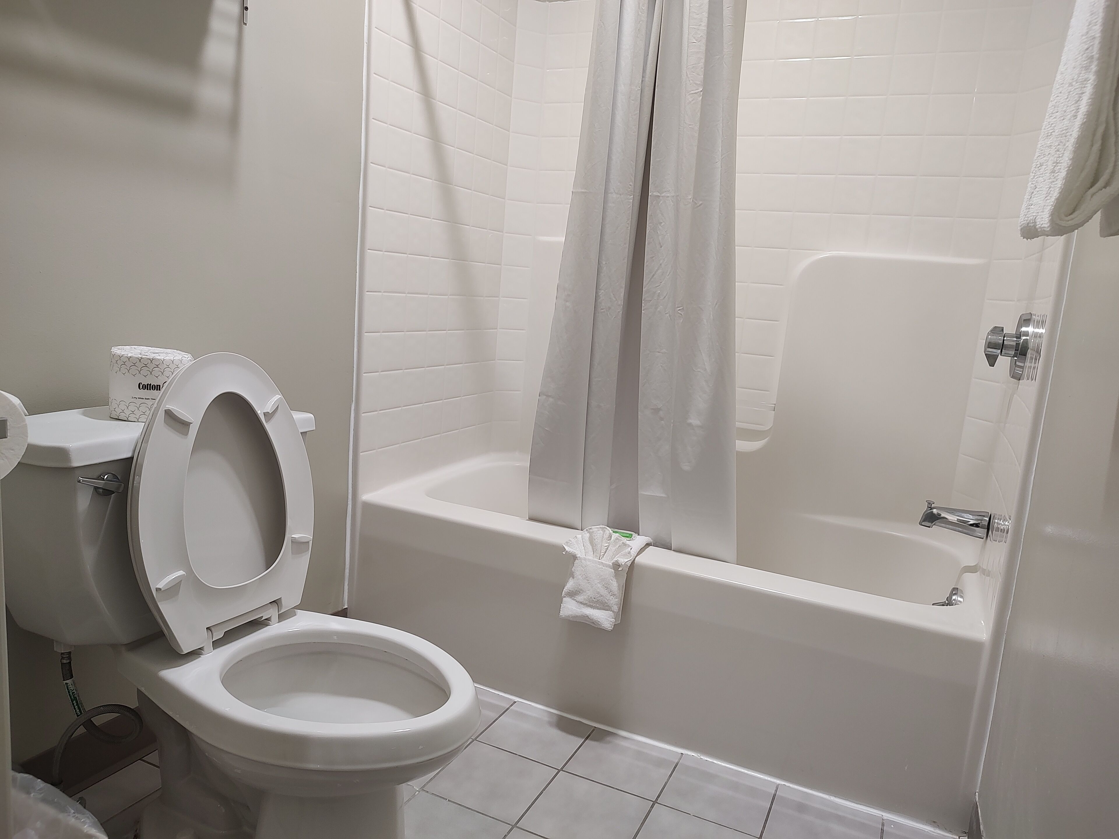 A bathroom with a toilet, a bathtub, and a shower curtain.