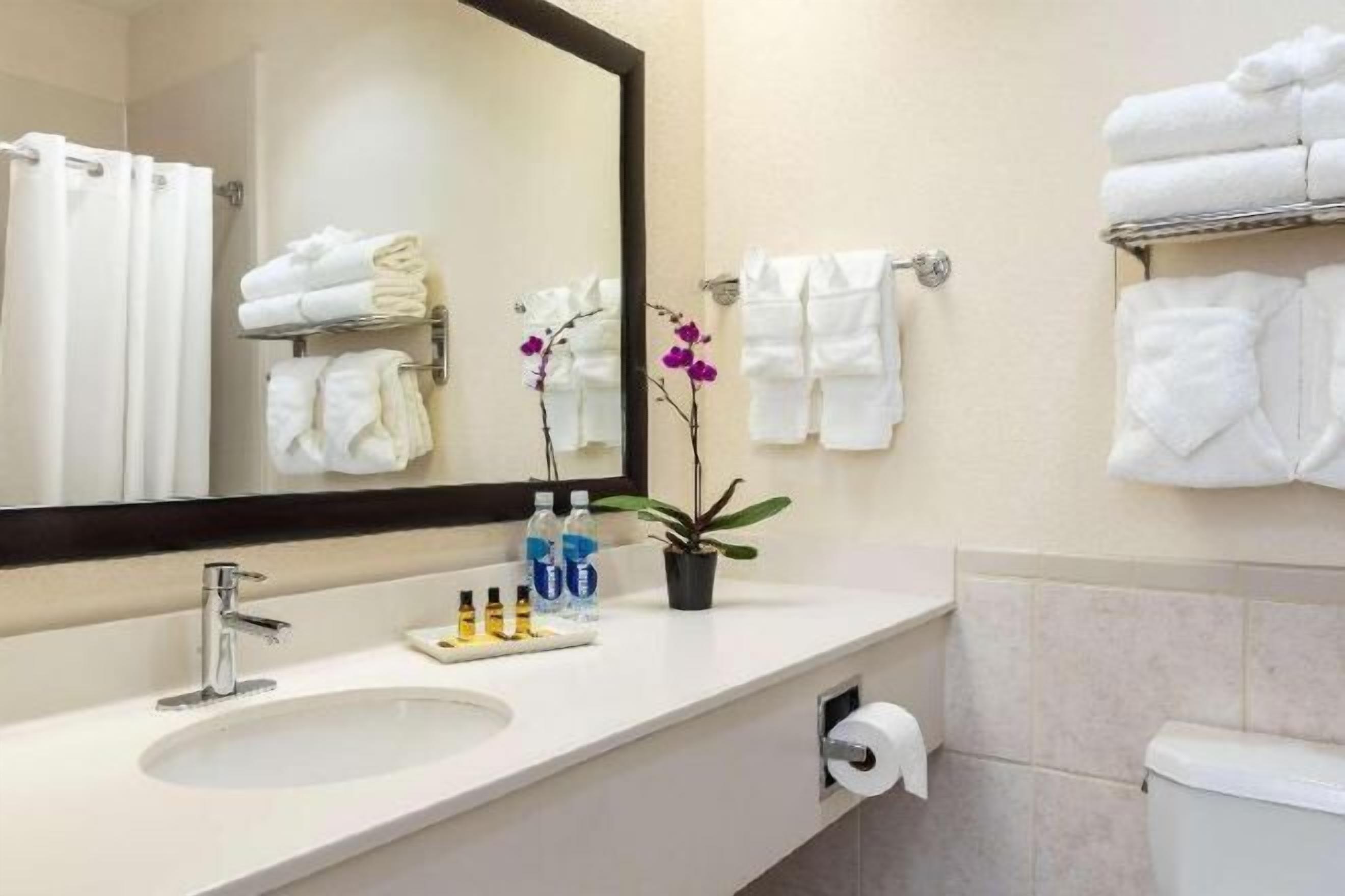 Bathroom | Combined shower/tub, free toiletries, hair dryer, towels