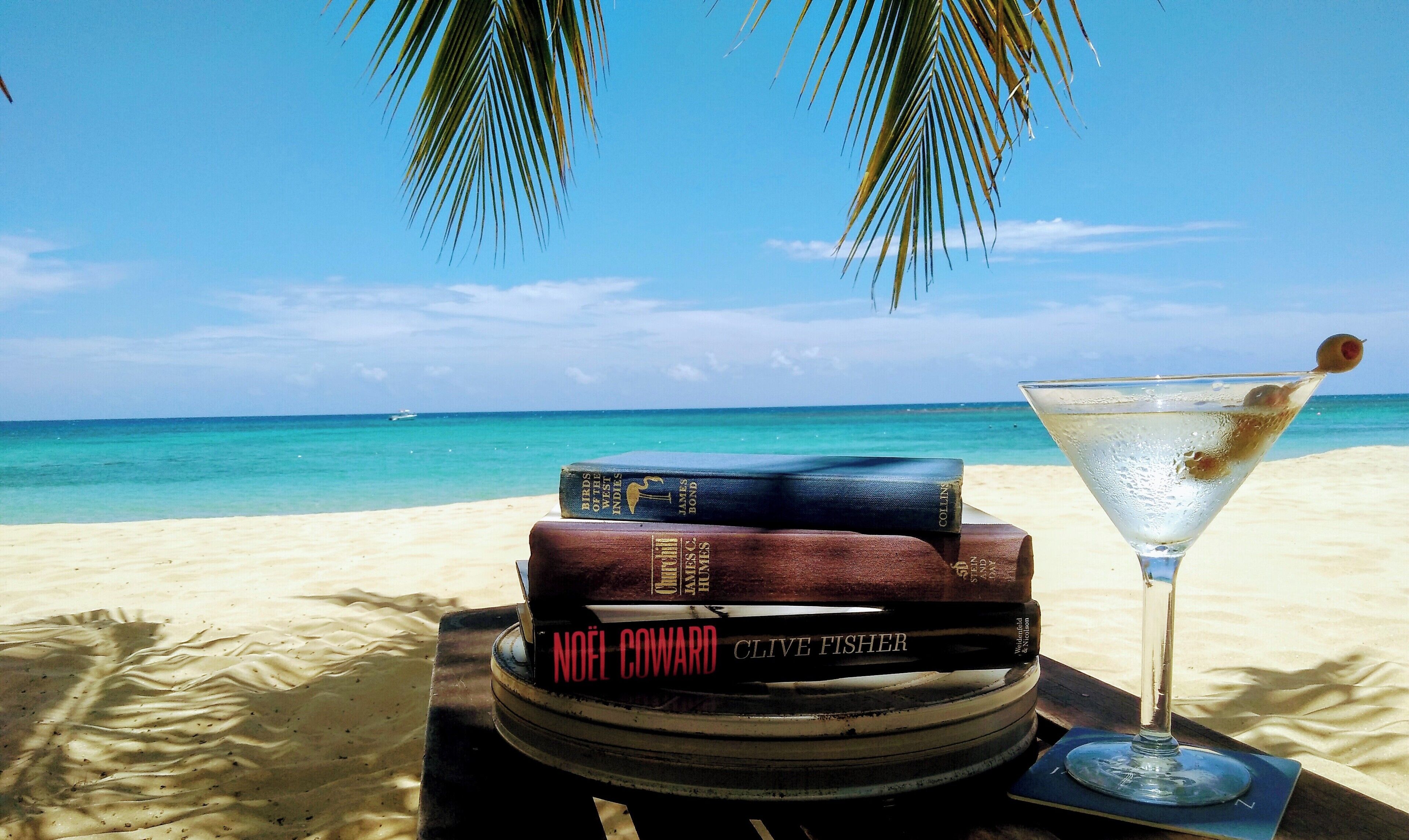 Een stapel boeken op een tafel met een martini glas aan een strand met helderblauw water en een palmboom op de achtergrond.