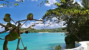 A coastal view with a clear blue sea, a tree with green leaves, and a white structure in the foreground.