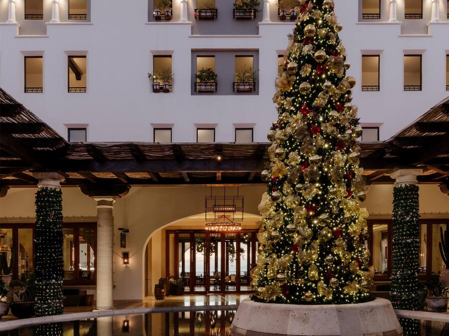 Un hotel Hilton con un árbol de Navidad en el patio.
