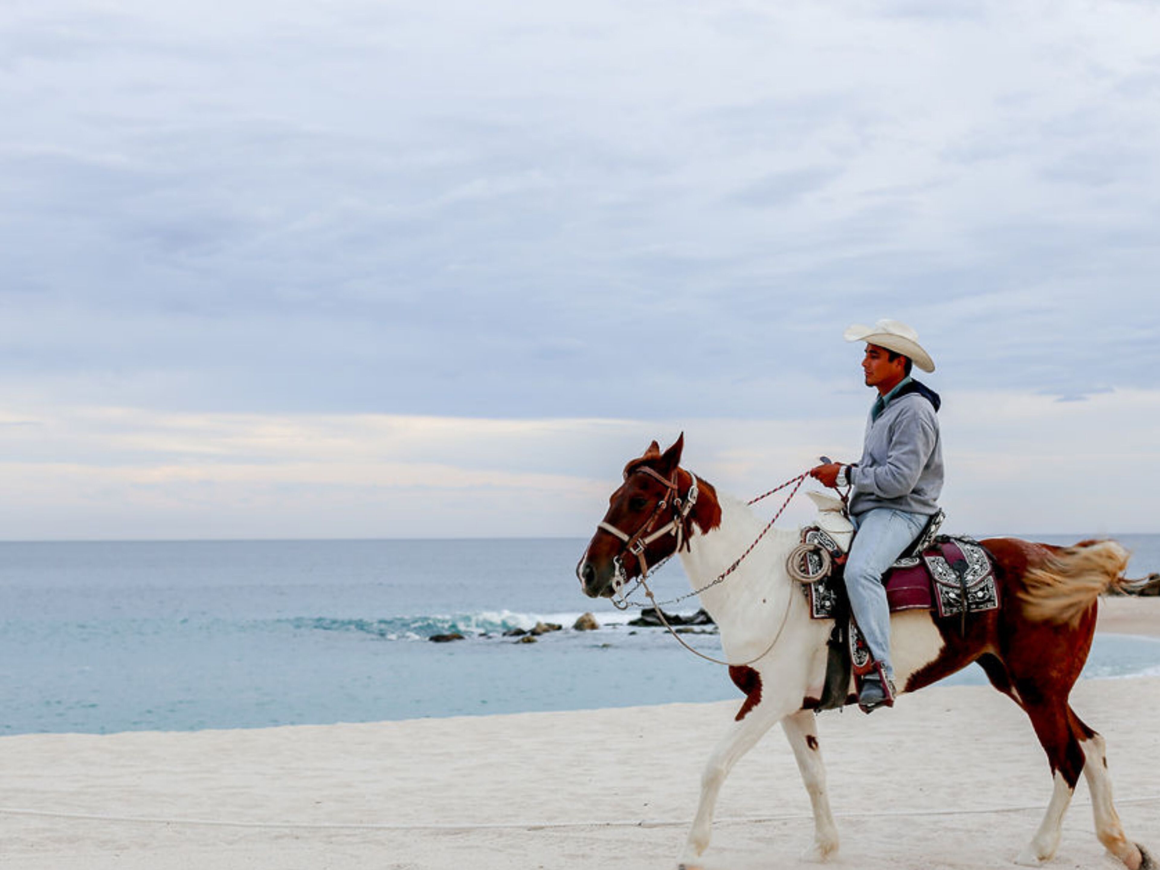 Une personne à cheval, chevauchant le long d’une plage, avec l’océan en arrière-plan.