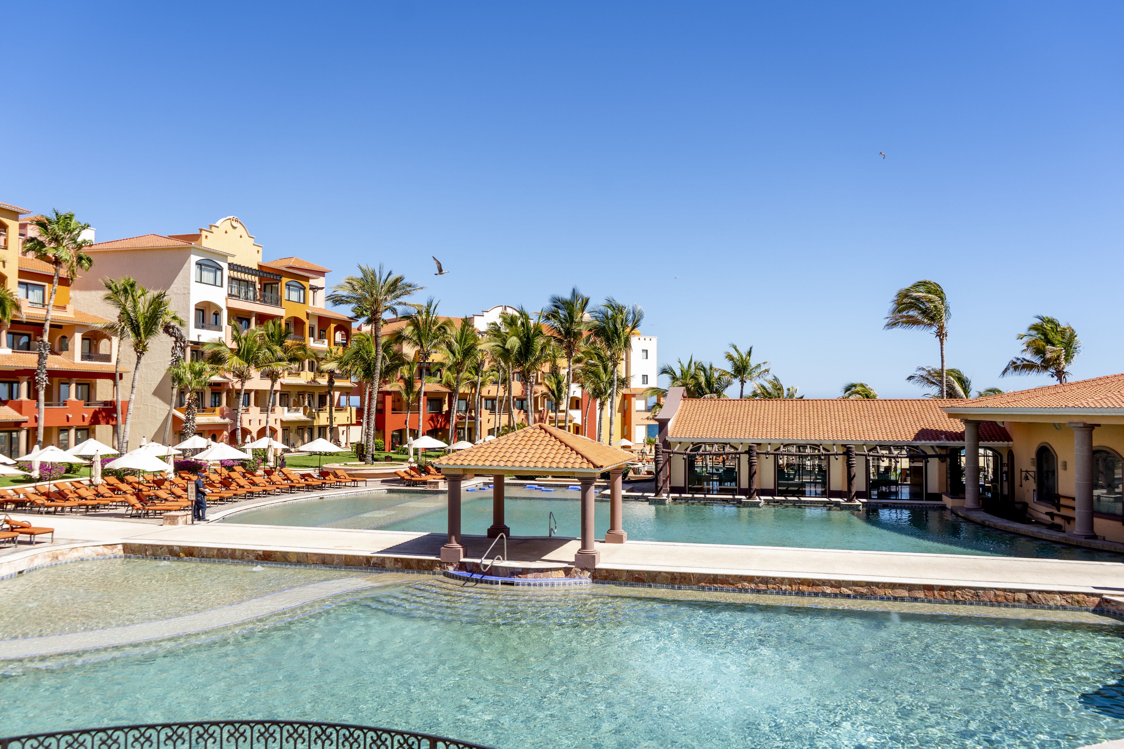 A resort with a swimming pool, lounge chairs, and palm trees.