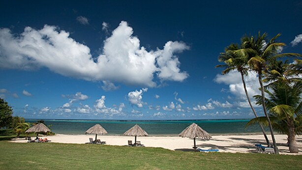 A beach with thatched umbrellas, palm trees, and a clear blue sky. - Club St. Croix Beach & Tennis Resort by Antilles Resorts (Christiansted)