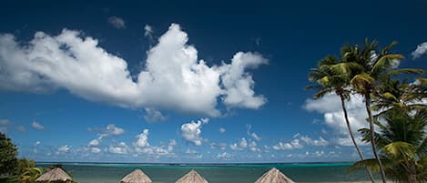 Plage, chaises longues, parasols, serviettes de plage