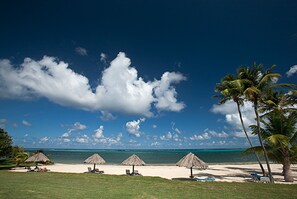 A beach with thatched umbrellas, palm trees, and a clear blue sky. - Club St. Croix Beach & Tennis Resort by Antilles Resorts (Christiansted)