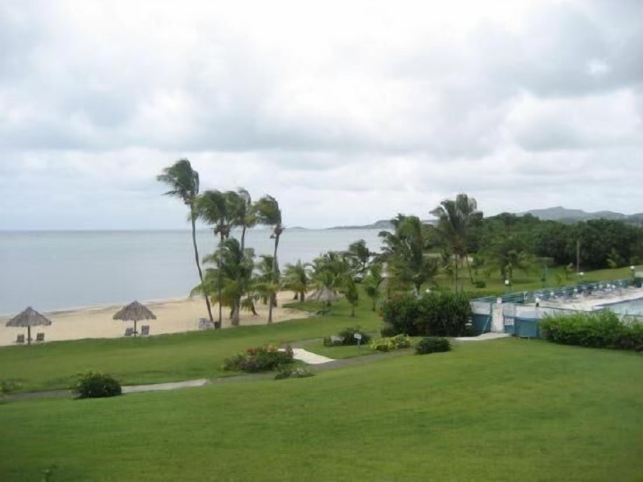 A beachside view with a grassy area, palm trees, and a building with a pool.
