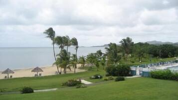 A beachside view with a grassy area, palm trees, and a building with a pool.