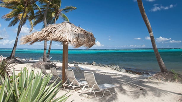 A beach with a thatched umbrella, palm trees, and white lounge chairs.
