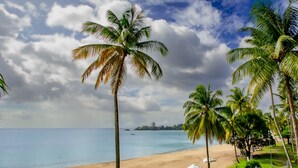 A beach with palm trees, a sandy shore, and a clear sky. - Starfish Tobago Resort (Plymouth)