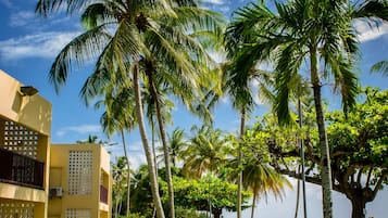 Standard Room, Ocean View (Triple) | ๊ฐ์ค ๋ด ๊ธ๊ณ , ๋ค๋ฆฌ๋ฏธ/๋ค๋ฆฌ๋ฏธํ, ๋ฌด๋ฃ WiFi, ์นจ๋ ์ํธ